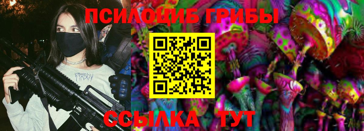 Галлюциногенные грибы GOLDEN TEACHER Кохма