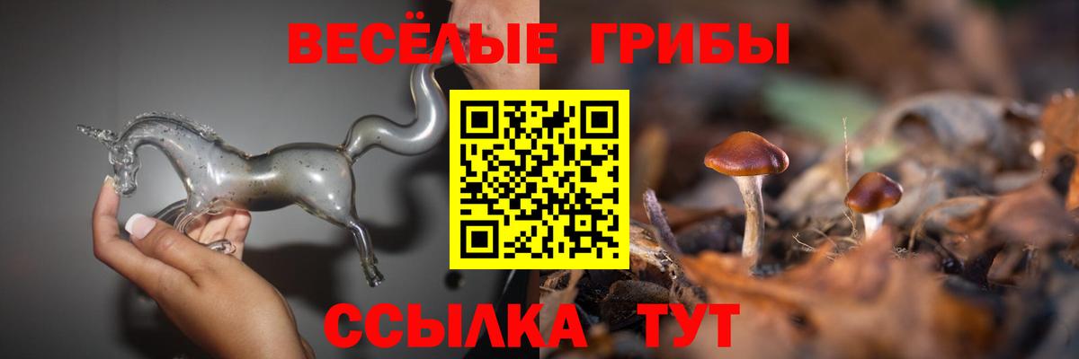 Псилоцибиновые грибы прущие грибы  Вход с VPN  Кохма 